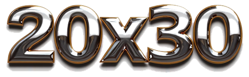 20x30 logo